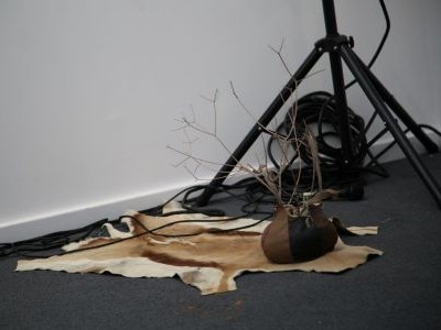 First Nations Collective gallery thumbnail image