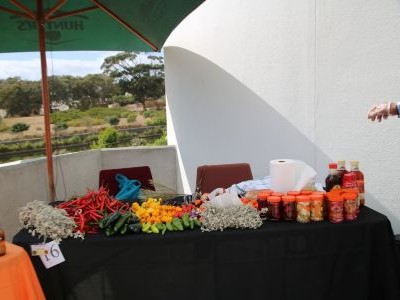 First Nations Collective Craft and Harvest Market gallery thumbnail image