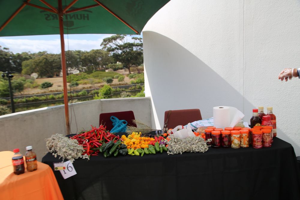 First Nations Collective Craft and Harvest Market gallery image
