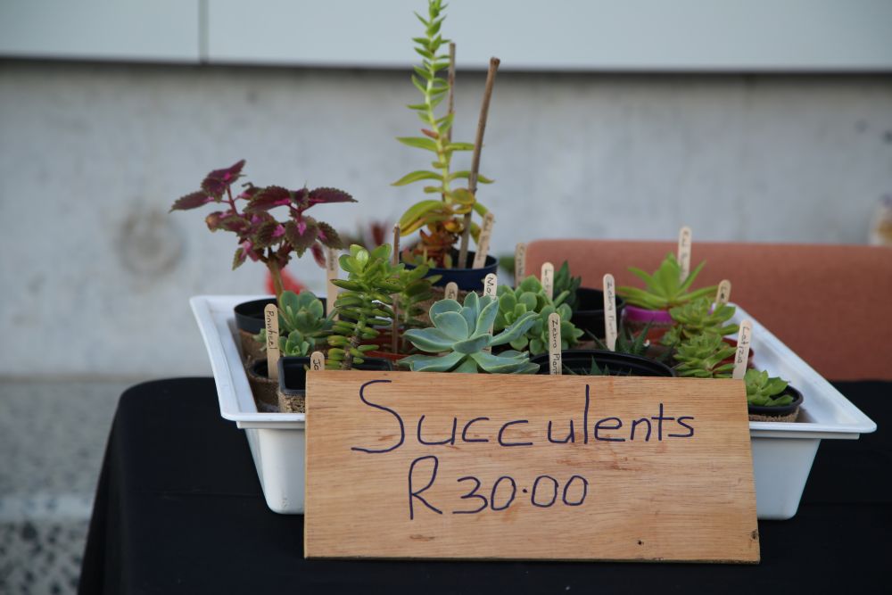 First Nations Collective Craft and Harvest Market gallery image