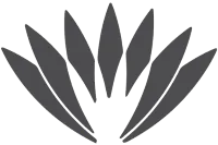 First Nations Collective protea symbol image