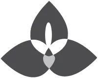 First Nations Collective red disa symbol image